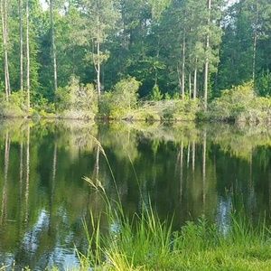 Meet your Posher, Caitlyn